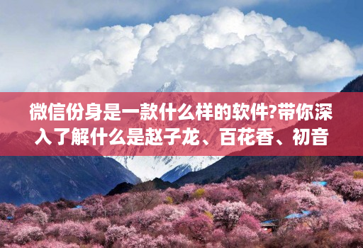 微信份身是一款什么样的软件?带你深入了解什么是赵子龙、百花香、初音未来