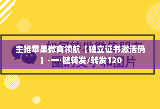 主推苹果微商领航【独立证书激活码】-一·键转发/转发120