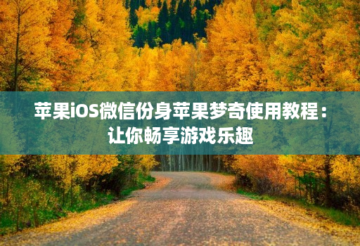 苹果iOS微信份身苹果梦奇使用教程：让你畅享游戏乐趣