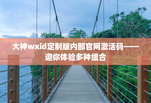 大神wxid定制版内部官网激活码——邀你体验多种组合