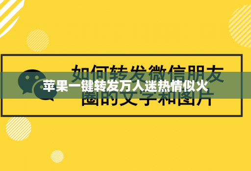 苹果一键转发万人迷热情似火