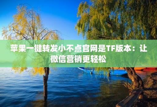 苹果一键转发小不点官网是TF版本：让微信营销更轻松