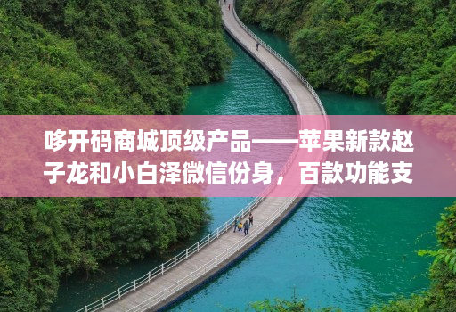 哆开码商城顶级产品——苹果新款赵子龙和小白泽微信份身，百款功能支持原技术开发