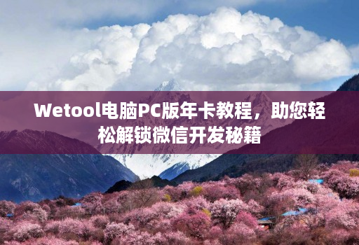 Wetool电脑PC版年卡教程，助您轻松解锁微信开发秘籍