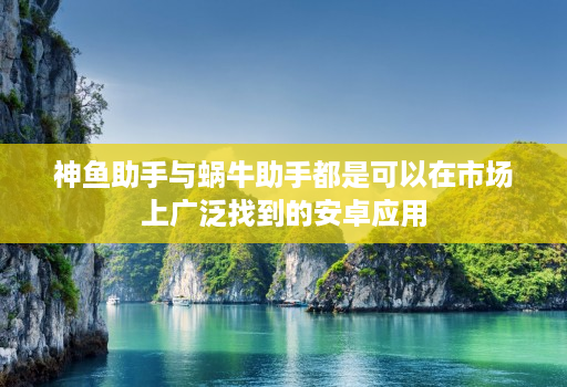 神鱼助手与蜗牛助手都是可以在市场上广泛找到的安卓应用