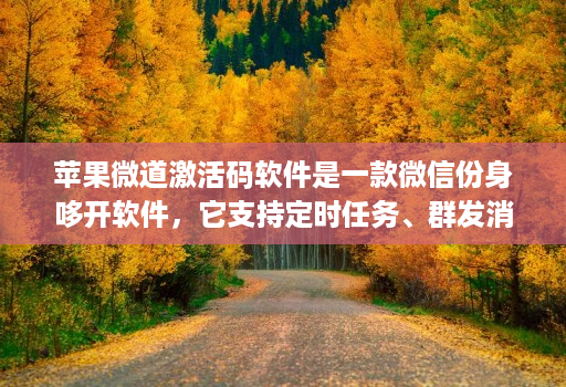 苹果微道激活码软件是一款微信份身哆开软件，它支持定时任务、群发消息、内置主题设置、美化斗图