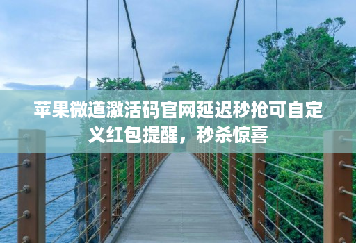 苹果微道激活码官网延迟秒抢可自定义红包提醒，秒杀惊喜