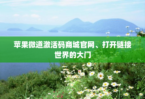 苹果微道激活码商城官网、打开链接世界的大门