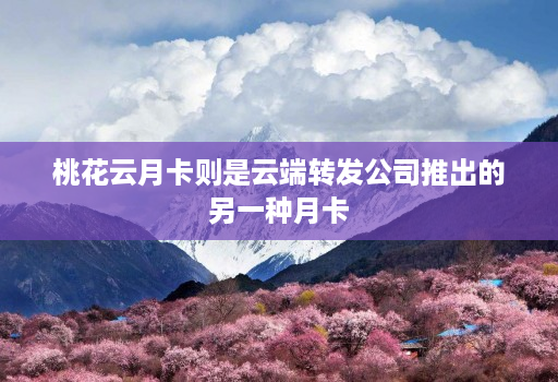 桃花云月卡则是<strong>云端转发</strong>公司推出的另一种月卡