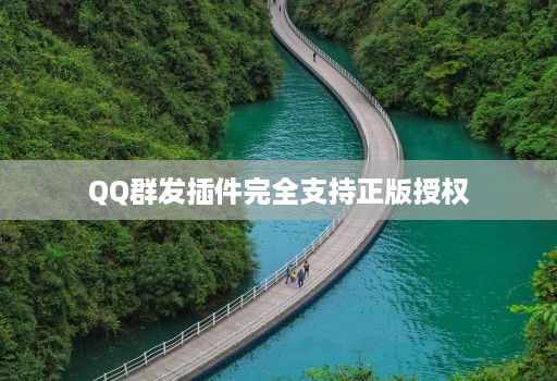 QQ群发插件完全支持正版授权