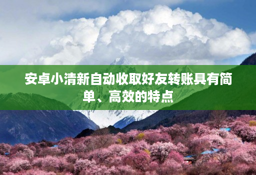 安卓小清新自动收取好友转账具有简单、高效的特点