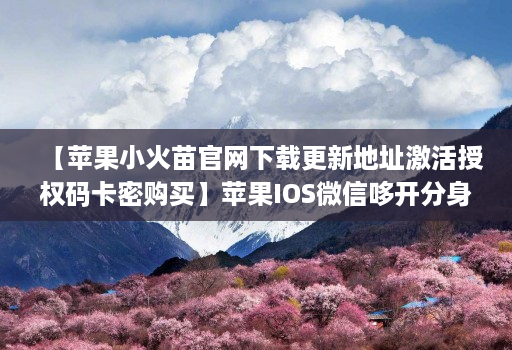 【苹果小火苗官网下载更新地址激活授权码卡密购买】苹果IOS微信哆开分身万群直播讲课微信群发微信密友语音转发虚拟定位【万人迷同款】