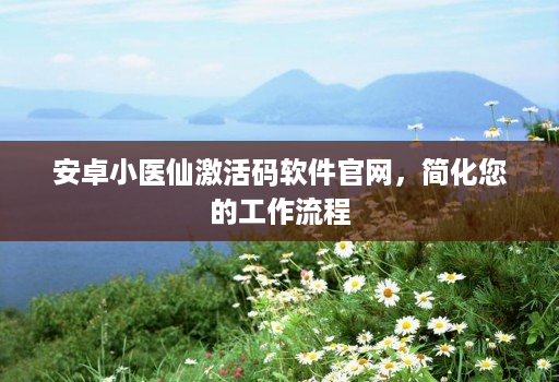 安卓小医仙激活码软件官网，简化您的工作流程