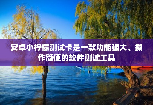 安卓小柠檬测试卡是一款功能强大、操作简便的软件测试工具