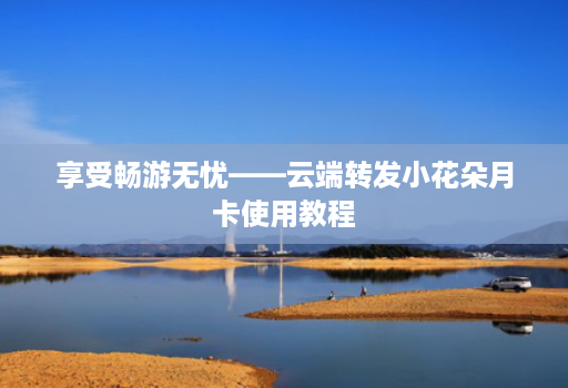 享受畅游无忧——<strong>云端转发</strong>小花朵月卡使用教程