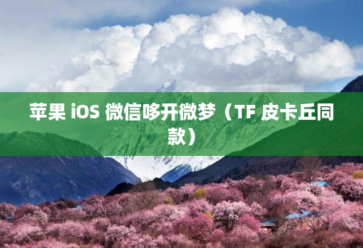 苹果 iOS 微信哆开微梦（TF 皮卡丘同款）