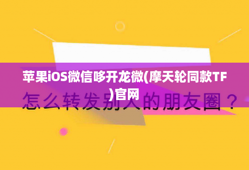 苹果iOS微信哆开龙微(摩天轮同款TF)官网