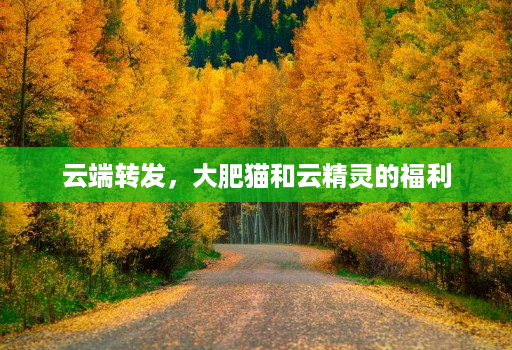 <strong>云端转发</strong>，大肥猫和云精灵的福利