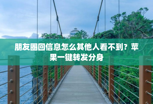 朋友圈回信息怎么其他人看不到？苹果一键转发分身