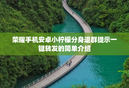 荣耀手机安卓小柠檬分身退群提示一键转发的简单介绍