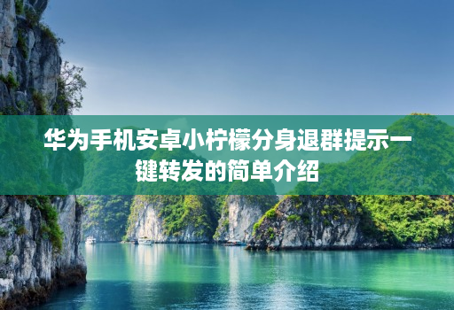 华为手机安卓小柠檬分身退群提示一键转发的简单介绍