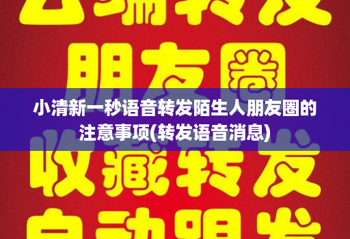 小清新一秒语音转发陌生人朋友圈的注意事项(转发语音消息)