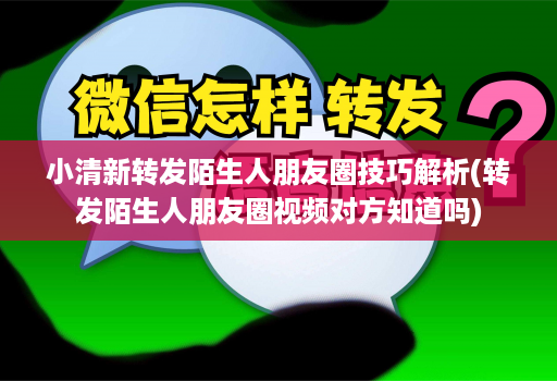 小清新转发陌生人朋友圈技巧解析(转发陌生人朋友圈视频对方知道吗)