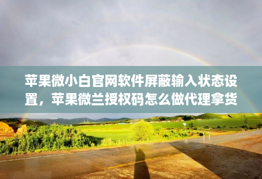 苹果微小白官网软件屏蔽输入状态设置，苹果微兰授权码怎么做代理拿货