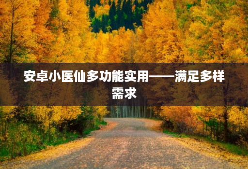 安卓小医仙多功能实用——满足多样需求