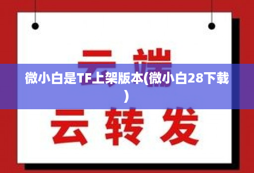 微小白是TF上架版本(微小白28下载)