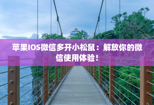 苹果IOS微信多开小松鼠：解放你的微信使用体验！