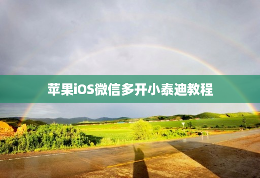 苹果iOS微信多开小泰迪教程