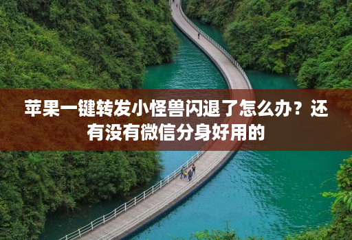 苹果一键转发小怪兽闪退了怎么办？还有没有微信分身好用的