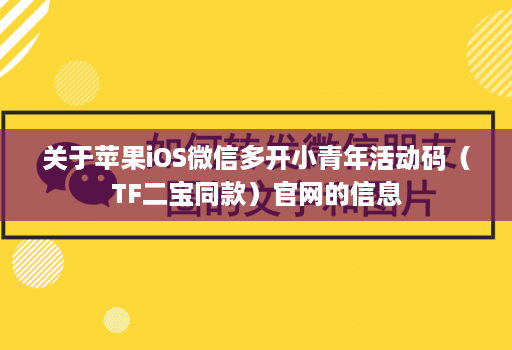 关于苹果iOS微信多开小青年活动码（TF二宝同款）官网的信息