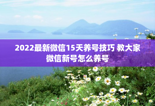 2022最新微信15天养号技巧 教大家微信新号怎么养号