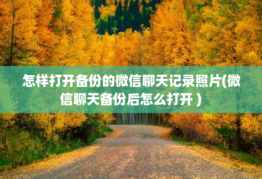 怎样打开备份的微信聊天记录照片(微信聊天备份后怎么打开 )