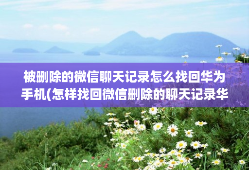 被删除的微信聊天记录怎么找回华为手机(怎样找回微信删除的聊天记录华为 )