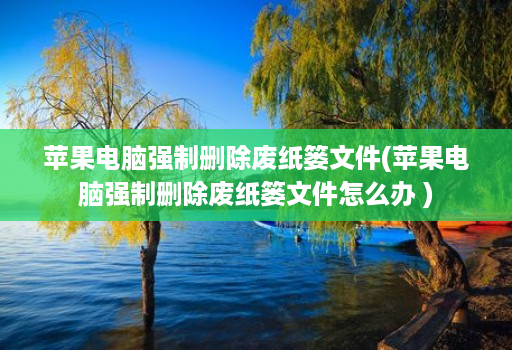 苹果电脑强制删除废纸篓文件(苹果电脑强制删除废纸篓文件怎么办 )