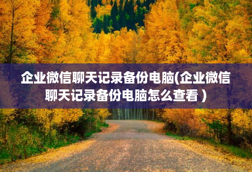 企业微信聊天记录备份电脑(企业微信聊天记录备份电脑怎么查看 )