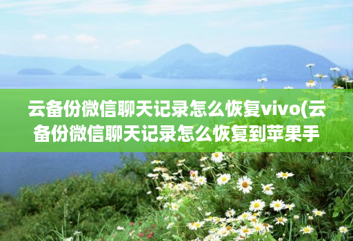 云备份微信聊天记录怎么恢复vivo(云备份微信聊天记录怎么恢复到苹果手机 )