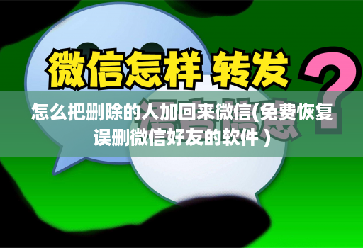 怎么把删除的人加回来微信(免费恢复误删微信好友的软件 )