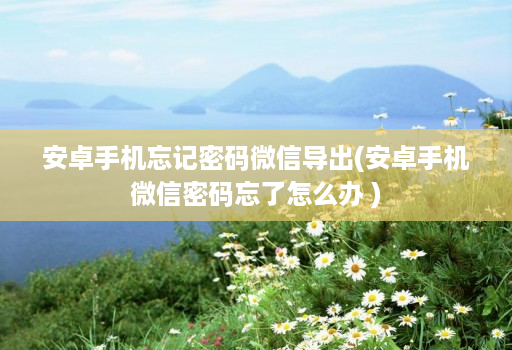 安卓手机忘记密码微信导出(安卓手机微信密码忘了怎么办 )