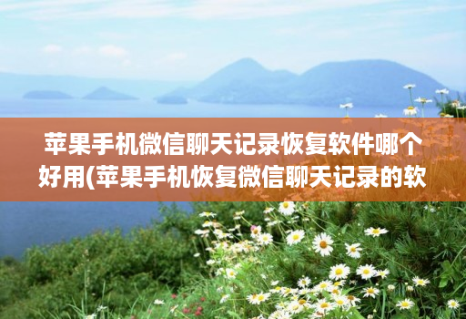 苹果手机微信聊天记录恢复软件哪个好用(苹果手机恢复微信聊天记录的软件 )