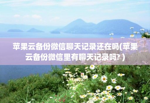 苹果云备份微信聊天记录还在吗(苹果云备份微信里有聊天记录吗? )