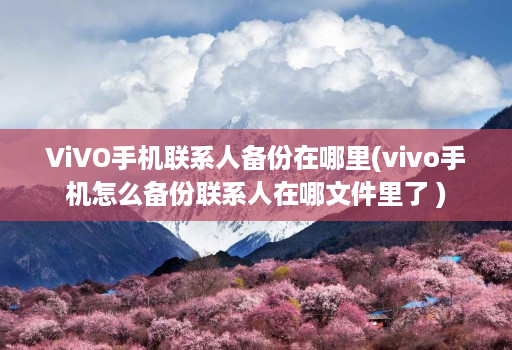 ViVO手机联系人备份在哪里(vivo手机怎么备份联系人在哪文件里了 )