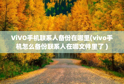 ViVO手机联系人备份在哪里(vivo手机怎么备份联系人在哪文件里了 )