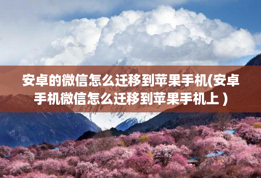 安卓的微信怎么迁移到苹果手机(安卓手机微信怎么迁移到苹果手机上 )