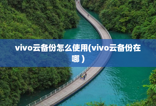 vivo云备份怎么使用(vivo云备份在哪 )