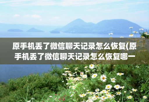 原手机丢了微信聊天记录怎么恢复(原手机丢了微信聊天记录怎么恢复哪一个手机怎么恢复 )