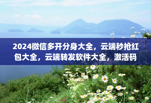 2024微信多开分身大全，云端秒抢红包大全，云端转发软件大全，激活码商城拿货网，24H发卡网